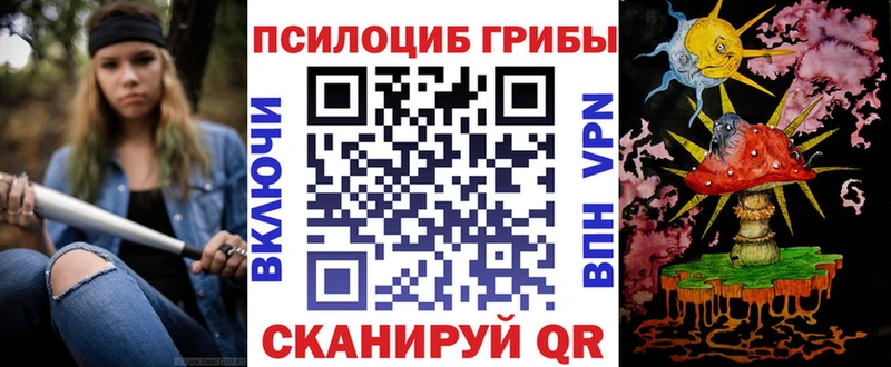 OMG ТОР  Анива  Галлюциногенные грибы Psilocybe 